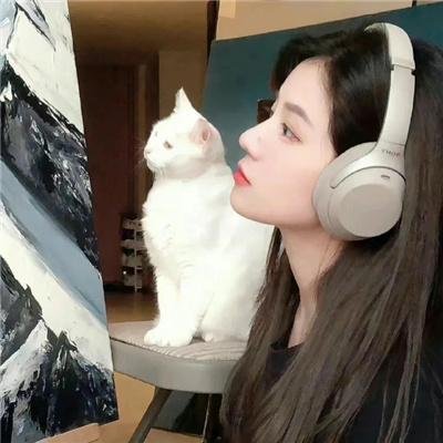 监狱不设防